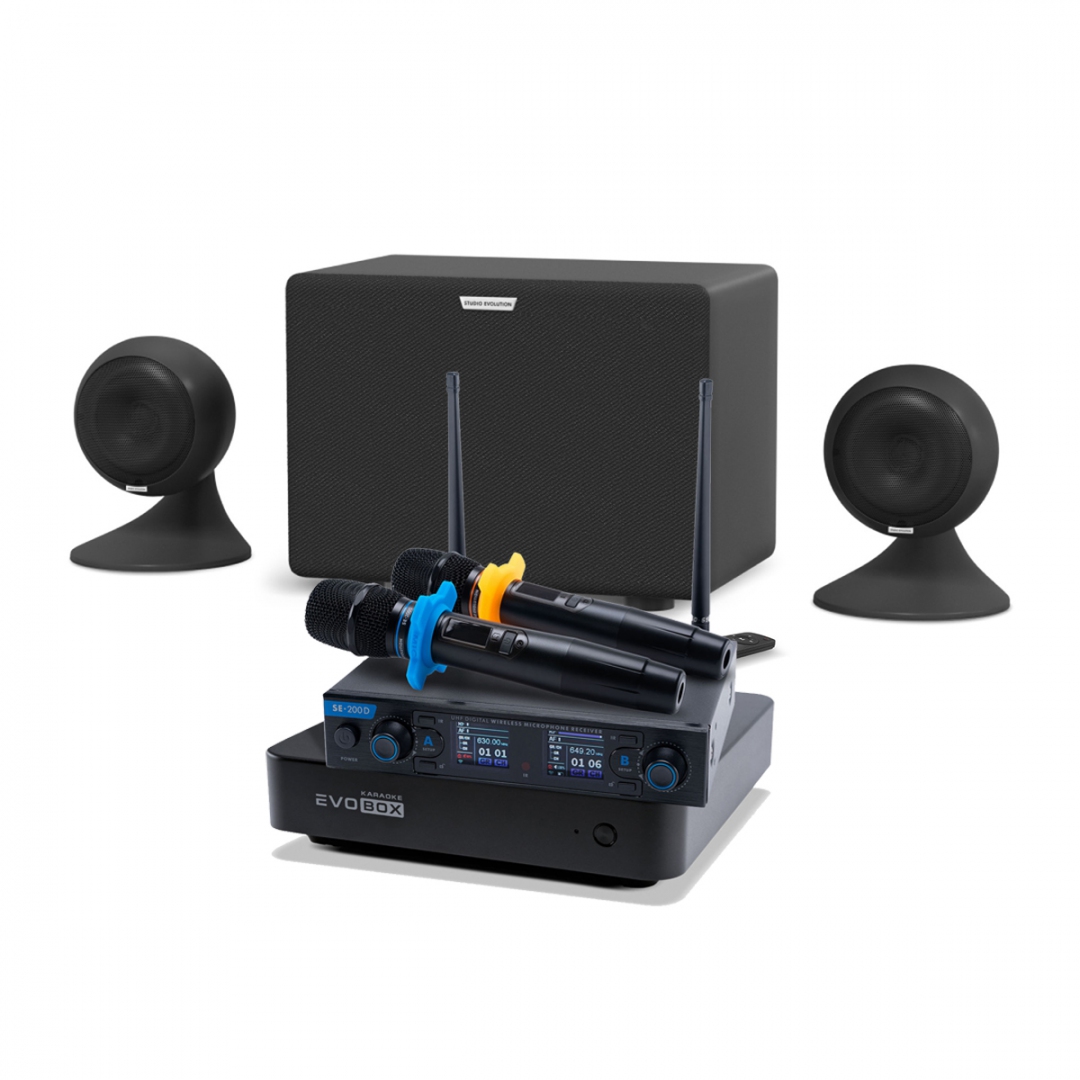 караоке-комплект EVOBOX + EvoSound Sphere 2.1 в Верхней Салде