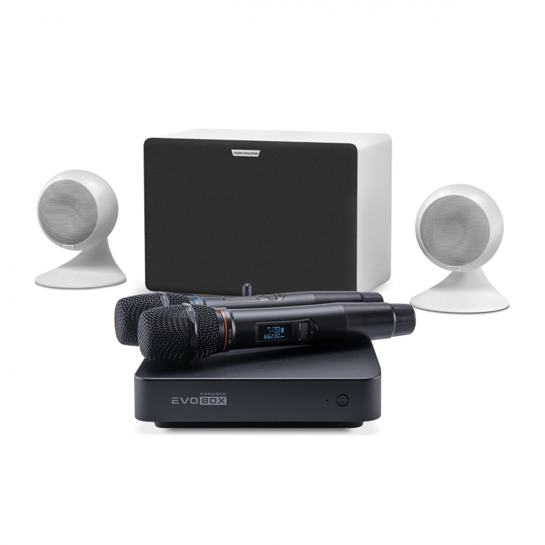 караоке-комплект EVOBOX Classic + EvoSound Sphere 2.1 в Верхней Салде
