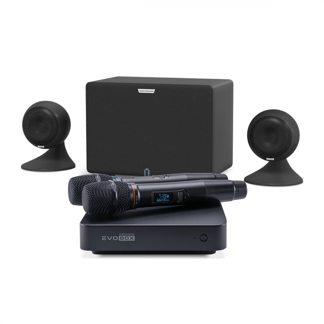 караоке-комплект EVOBOX Plus + EvoSound Sphere 2.1 в Верхней Салде
