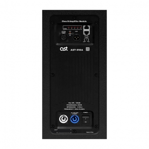 Активная акустическая система AST-310A в Верхней Салде