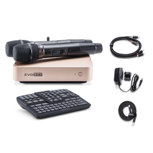 EVOBOX Classic караоке-система для дома в Верхней Салде