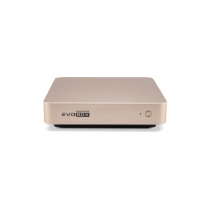EVOBOX с микрофонами в Верхней Салде